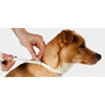 Msd Ah Scalibor collare antiparassitario per cani di taglia medio piccola 48 cm  Msd Ah Scalibor collare antiparassitario per cani di taglia medio piccola 48 cm