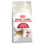 Crocchette per gatti Royal canin fit 32 10 Kg