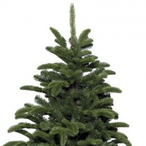 Albero di natale pino Kaemingk Noble pine verde 180 cm