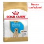 Crocchette per cani Royal canin labrador puppy 12 Kg