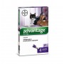 Bayer advantage 80 spot-on gatti e conigli oltre 4 Kg