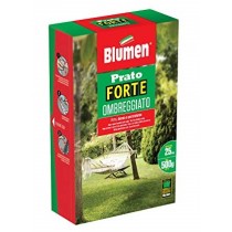 Blumen semi prato forte ombreggiato 500 g Blumen semi prato forte ombreggiato 500 g