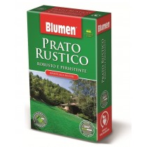 Blumen semi prato prato rustico 1 Kg Blumen semi prato prato rustico 1 Kg