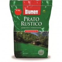 Blumen semi prato rustico 5 Kg Blumen semi prato rustico 5 Kg
