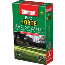 Blumen semi prato rigenerante per zone ombreggiate 500 g Blumen semi prato rigenerante per zone ombreggiate 500 g
