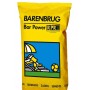 Semi prato Barenbrug Bar Power 15 Kg