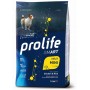 Prolife smart pollo fresco e riso adult mini nutrigenomic 2 Kg