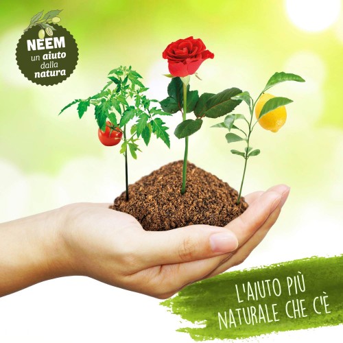 Olio di Neem spray repellente 100% naturale lucida e protegge