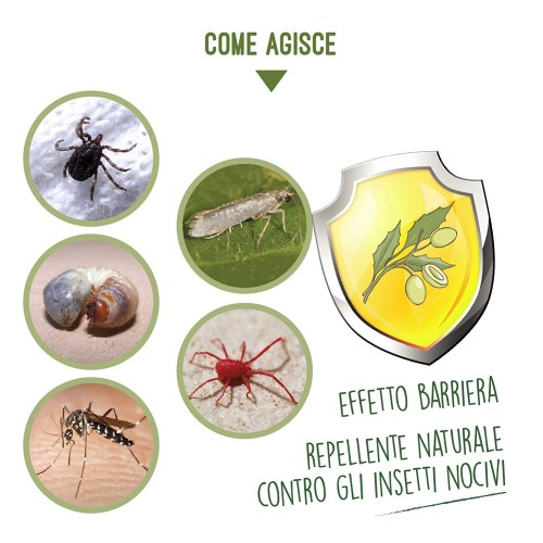 Olio di Neem spray repellente 100% naturale lucida e protegge