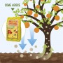 Concime Citrus organico organominerale 100% naturale per agrumi
