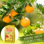 Concime Citrus organico organominerale 100% naturale per agrumi