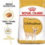 Crocchette per cani Royal Canin chihuahua adult 500 g