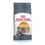Crocchette per gatti Royal canin feline hair & skin care 2 Kg