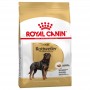 Crocchette per cani Royal canin Rottweiler 12 Kg