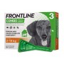 Frontline combo spot-on cani piccoli 2-10 Kg 3 pipette