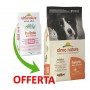 Crocchette per cani Almo nature holistic adult medium salmone e riso