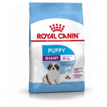Crocchette per cani Royal canin giant puppy 15 Kg