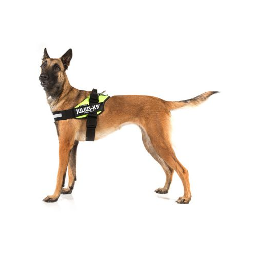 Pettorina per cani Julius K9