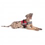 Pettorina per cani Julius K9 L-XL rosso 71-96 cm