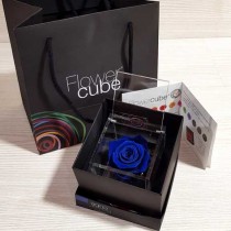 Rosa vera stabilizzata FlowerCube  blu Rosa vera stabilizzata FlowerCube  blu