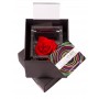 Rosa vera stabilizzata FlowerCube cubo 8x8 cm rosso