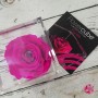 Rosa vera stabilizzata FlowerCube cubo 6x6 cm fucsia