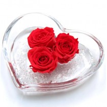 Cuore di rosa, 3 rose stabilizzate in cuore vetro 12x12 cm rosso