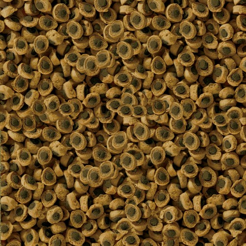 Sera reptil professional herbivor 250 ml cibo per rettili