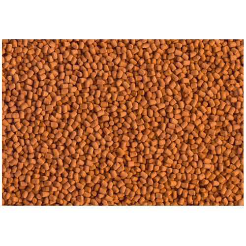 Tetra ReptoMin Energy 100ml cibo per rettili