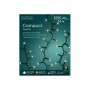 Luci di Natale Kaemingk 1500 LED caldo classico compact twinkle 34 m