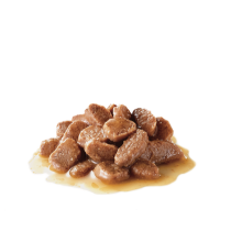 Cibo umido per gatti Royal Canin Ageing +12 in salsa 85 g confezione 12 pz. Cibo umido per gatti Royal Canin Ageing +12 in salsa 85 g confezione 12 pz.