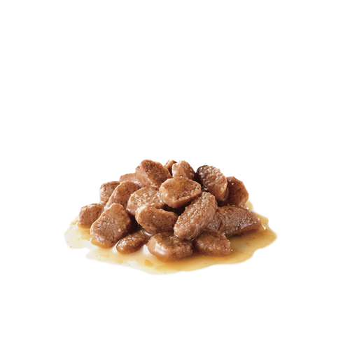 Cibo umido per gatti Royal Canin Ageing +12 in salsa 85 g confezione 12 pz.