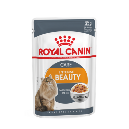 Royal Canin Intense beauty jelly 85 grammi confezione da 12 cibo umido per gatti
