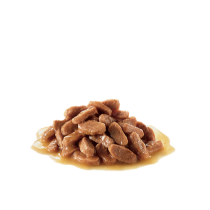 Royal Canin Sterilised in salsa 85 grammi confezione da 12 cibo umido per gatti