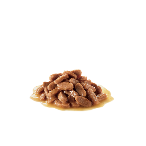 Royal Canin Sterilised in salsa 85 grammi confezione da 12 cibo umido per gatti