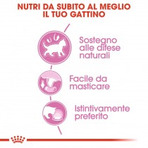 Royal Canin Sterilised in salsa 85 grammi confezione da 12 cibo umido per gatti