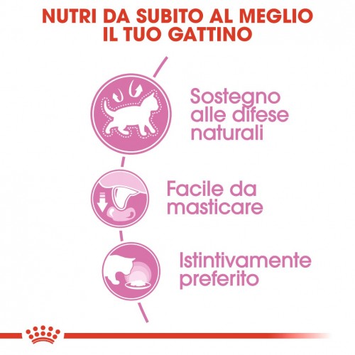 Royal Canin Sterilised in salsa 85 grammi confezione da 12 cibo umido per gatti