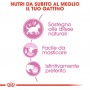 Royal Canin Sterilised in salsa 85 grammi confezione da 12 cibo umido per gatti