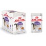 Royal Canin Sterilised jelly 85 grammi confezione da 12 cibo umido per gatti