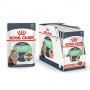 Cibo umido gatti Royal Canin Digest Sensitive in salsa 85 g confezione 12 pz.