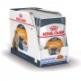 Royal Canin Intense beauty jelly 85 grammi confezione da 12 cibo umido per gatti