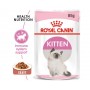 Cibo umido per gatti Royal Canin Kitten in salsa 85 g confezione 12 pz.