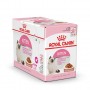 Cibo umido per gatti Royal Canin Kitten in salsa 85 g confezione 12 pz.