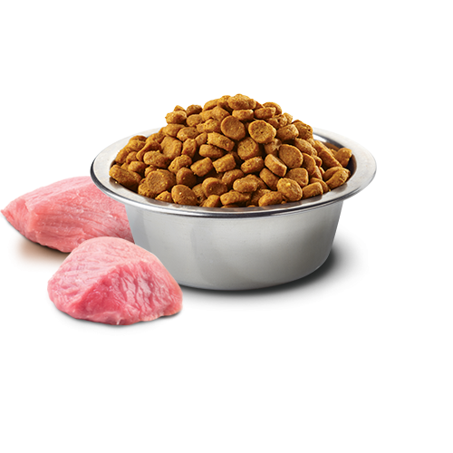 Crocchette per cani Farmina N&D grain free pollo, zucca e melograno 2,5 kg adult medium/maxi