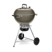 Barbecue a carbone Weber master touch GBS C-5750 Ø 57 cm smoke grey 14710004 Barbecue a carbone Weber master touch GBS C-5750 Ø 57 cm smoke grey 14710004