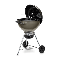 Barbecue a carbone Weber master touch GBS C-5750 Ø 57 cm smoke grey 14710004 Barbecue a carbone Weber master touch GBS C-5750 Ø 57 cm smoke grey 14710004