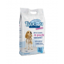 Tappetino igienico per cani Tappe In 60 x 60 cm da 50 pezzi Tappetino igienico per cani Tappe In 60 x 60 cm da 50 pezzi