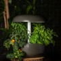Plantui giardino orto da appartamento idroponico 6 smart garden