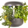 Plantui giardino orto da appartamento idroponico 6 smart garden