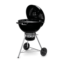 Barbecue a carbone Weber Master-Touch E-5750 GBS black 14701053 modello 2020